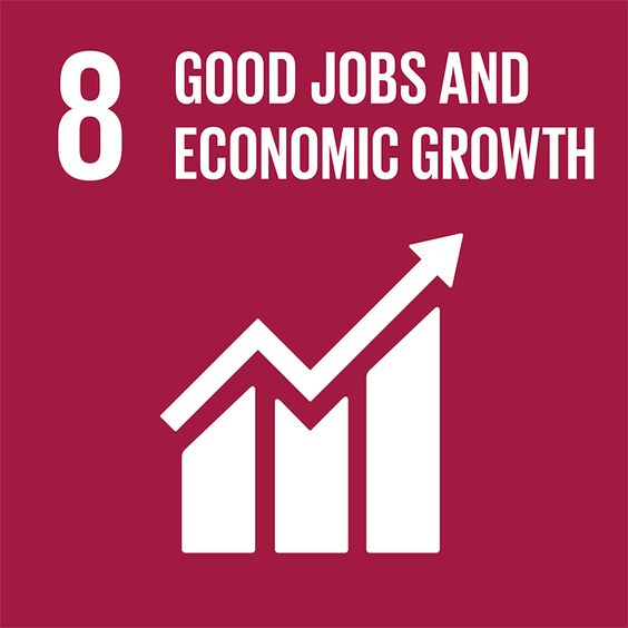 SDG 8